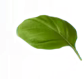 green_0001_2.png